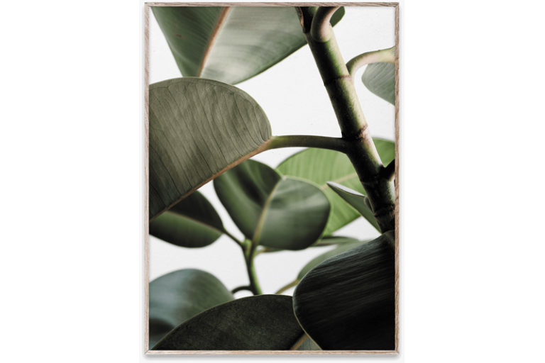 poster-paper-collective-green-home-03-maison-nordik