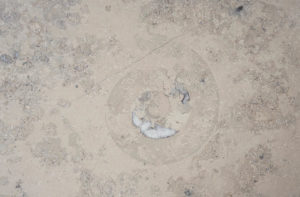 danish modern vintage teck palissandre rio années 50 années 60 années 70 mobilier meuble ancien danois danemark scandinave maison nordik paris meubles décoration design designer norm architects éditeur marque vipp table de repas cabin square