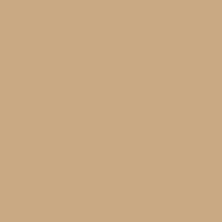 Swatch Clay 0011